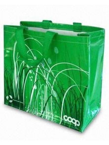 無紡布袋價格與供應(yīng)商解析 以雄縣泰祥無紡布包裝制品廠為例